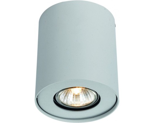 Потолочный светильник Falcon A5633PL-1WH Arte Lamp