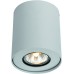 Потолочный светильник Falcon A5633PL-1WH Arte Lamp