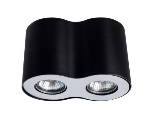 Потолочный светильник Falcon A5633PL-2BK Arte Lamp