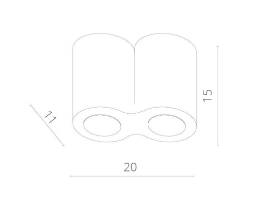 Потолочный светильник Falcon A5633PL-2BK Arte Lamp