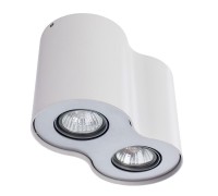 Потолочный светильник Falcon A5633PL-2WH Arte Lamp