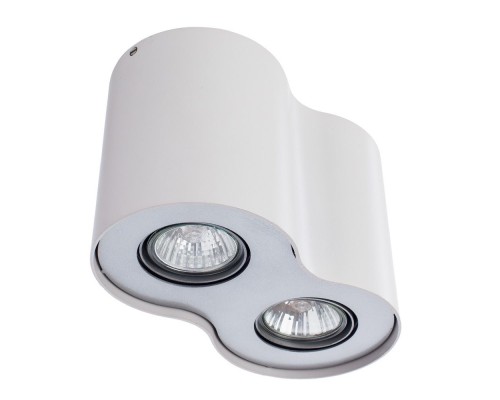 Потолочный светильник Falcon A5633PL-2WH Arte Lamp