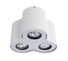Потолочный светильник Falcon A5633PL-3WH Arte Lamp