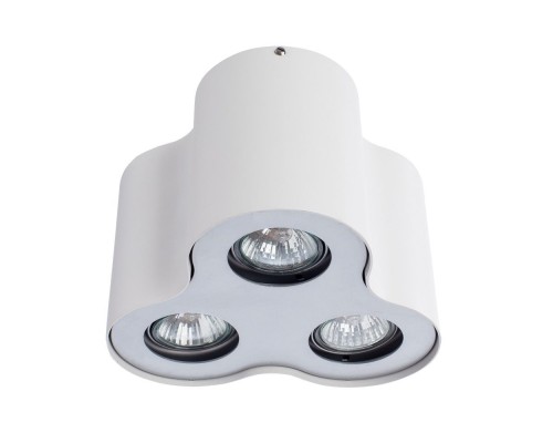 Потолочный светильник Falcon A5633PL-3WH Arte Lamp