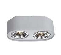 Потолочный светильник Cliff A5643PL-2WH Arte Lamp