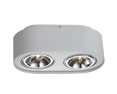 Потолочный светильник Cliff A5643PL-2WH Arte Lamp
