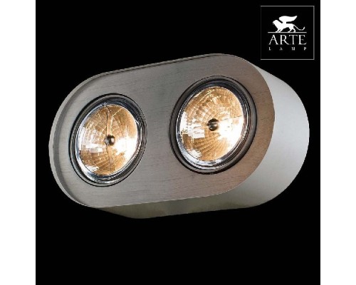 Потолочный светильник Cliff A5643PL-2WH Arte Lamp