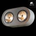 Потолочный светильник Cliff A5643PL-2WH Arte Lamp