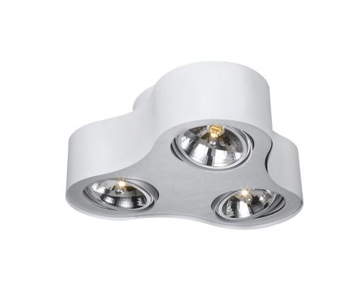 Потолочный светильник Cliff A5643PL-3WH Arte Lamp