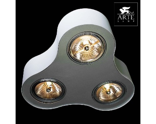 Потолочный светильник Cliff A5643PL-3WH Arte Lamp