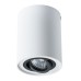 Точечный светильник Falcon A5644PL-1WH Arte Lamp