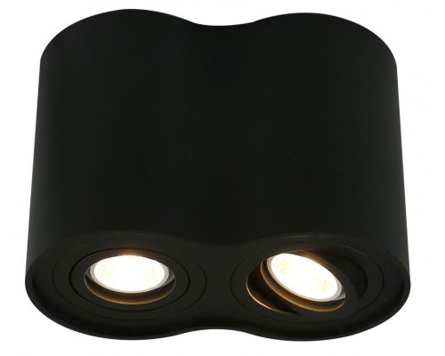 Точечный светильник Falcon A5644PL-2BK Arte Lamp