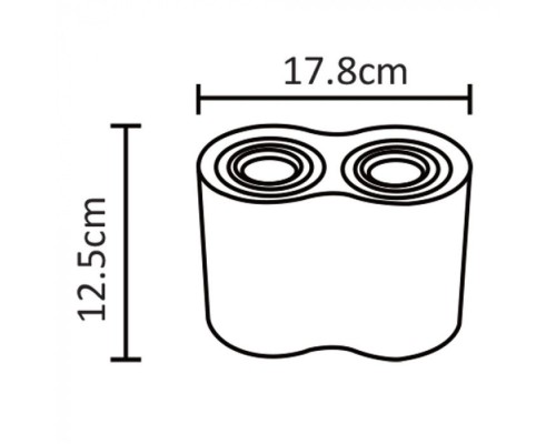 Точечный светильник Falcon A5644PL-2BK Arte Lamp