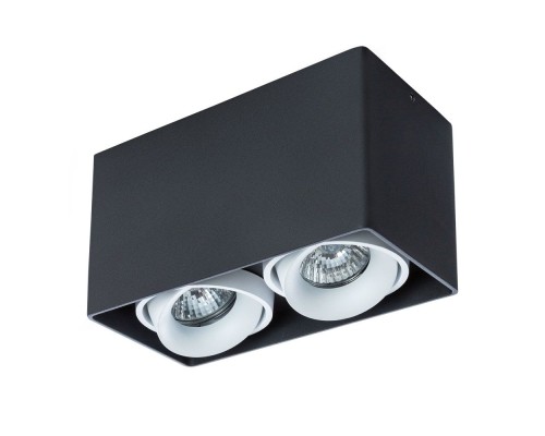 Точечный светильник Pictor A5654PL-2BK Arte Lamp