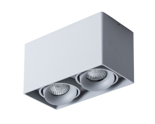 Точечный светильник Pictor A5654PL-2GY Arte Lamp