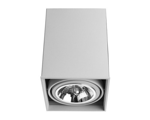 Точечный светильник Cardani Grande A5936PL-1WH Arte Lamp