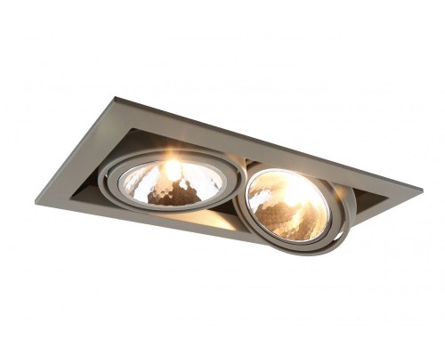 Точечный светильник Cardani Semplice A5949PL-2GY Arte Lamp