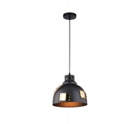 Подвесной светильник Eurica A6024SP-1BK Arte Lamp