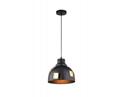 Подвесной светильник Eurica A6024SP-1BK Arte Lamp
