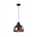 Подвесной светильник Eurica A6024SP-1BK Arte Lamp