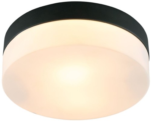 Потолочный светильник Aqua-tablet A6047PL-2BK Arte Lamp