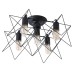 Потолочная люстра Tela A6048PL-5BK Arte Lamp
