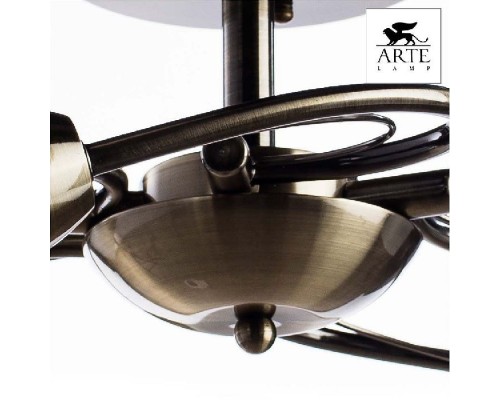 Потолочная люстра Innocente A6056PL-5AB Arte Lamp