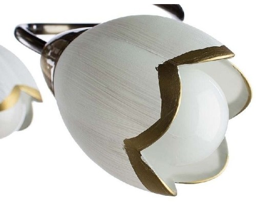 Потолочная люстра Perce A6061PL-6AB Arte Lamp