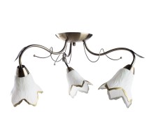 Потолочная люстра Barbara A6066PL-3AB Arte Lamp