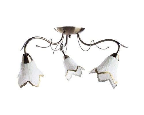 Потолочная люстра Barbara A6066PL-3AB Arte Lamp