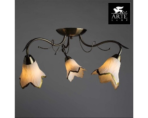 Потолочная люстра Barbara A6066PL-3AB Arte Lamp