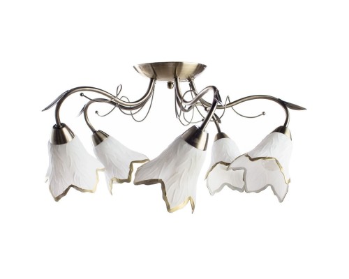Потолочная люстра Barbara A6066PL-5AB Arte Lamp