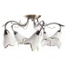 Потолочная люстра Barbara A6066PL-5AB Arte Lamp