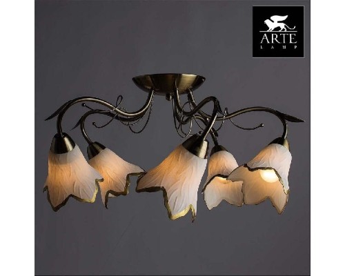 Потолочная люстра Barbara A6066PL-5AB Arte Lamp