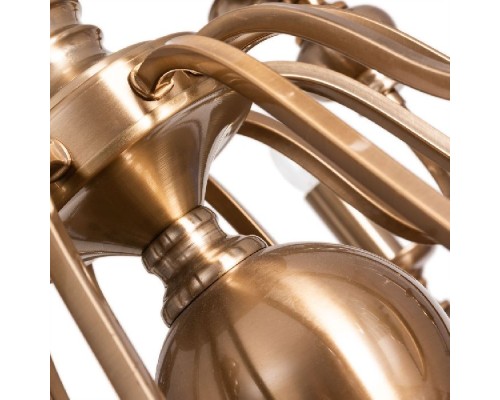 Подвесная люстра Passoni A6097LM-12PB Arte Lamp