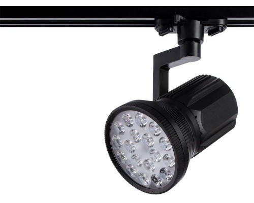 Трековый светильник Pianta A6118PL-1BK Arte Lamp