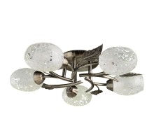 Потолочная люстра Anetta A6157PL-5AB Arte Lamp