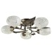 Потолочная люстра Anetta A6157PL-5AB Arte Lamp
