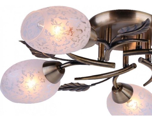 Потолочная люстра Anetta A6157PL-5AB Arte Lamp