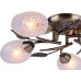 Потолочная люстра Anetta A6157PL-5AB Arte Lamp