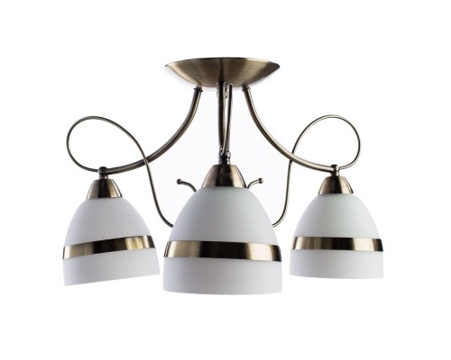 Потолочная люстра Noemi A6192PL-3AB Arte Lamp