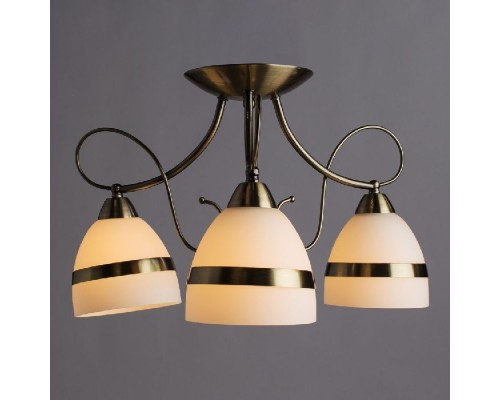 Потолочная люстра Noemi A6192PL-3AB Arte Lamp