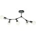 Потолочная люстра Flex A6206PL-5CC Arte Lamp