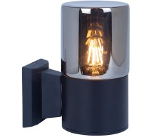 Настенный светильник уличный Wazn A6218AL-1BK Arte Lamp