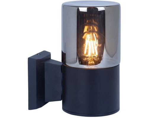 Настенный светильник уличный Wazn A6218AL-1BK Arte Lamp