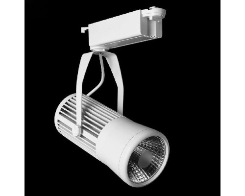 Трековый светильник Ricordo A6330PL-1WH Arte Lamp