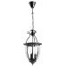 Подвесной светильник Rimini A6509SP-3CC Arte Lamp