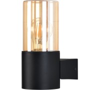Настенный светильник уличный Seginus A6515AL-1BK Arte Lamp