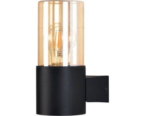 Настенный светильник уличный Seginus A6515AL-1BK Arte Lamp