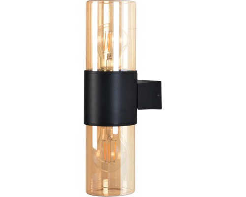 Настенный светильник уличный Seginus A6515AL-2BK Arte Lamp